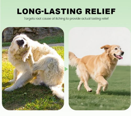 Natural Itch Relief Drops for Dogs.