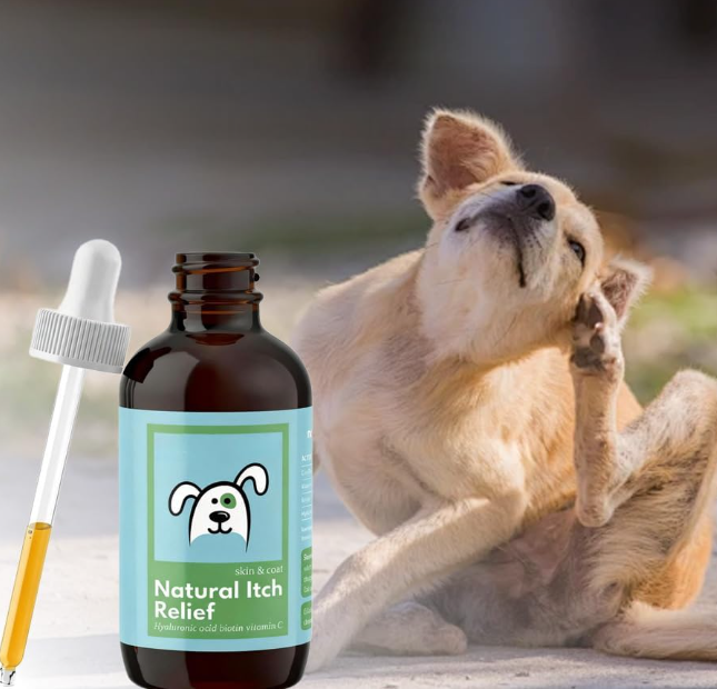 Natural Itch Relief Drops for Dogs.